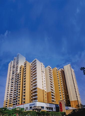 Elevation
